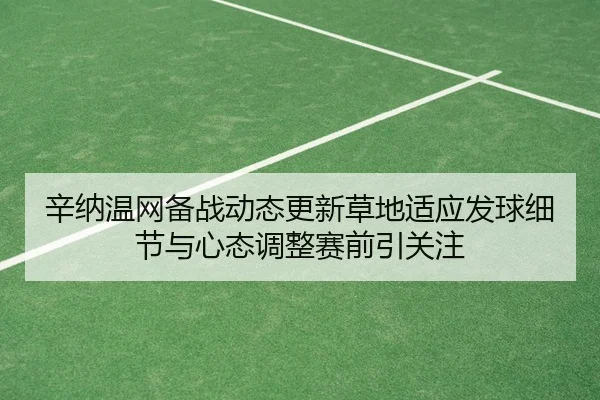 辛纳温网备战动态更新草地适应发球细节与心态调整赛前引关注